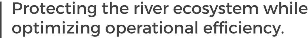 Protecting the river ecosystem - img